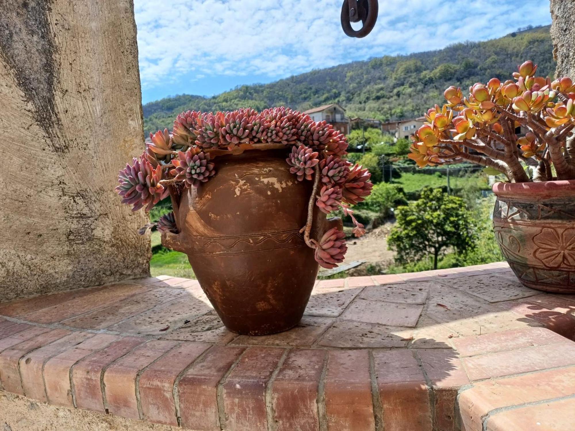 Country House B&B Antica Dimora Del Sole Camerota Bagian luar foto